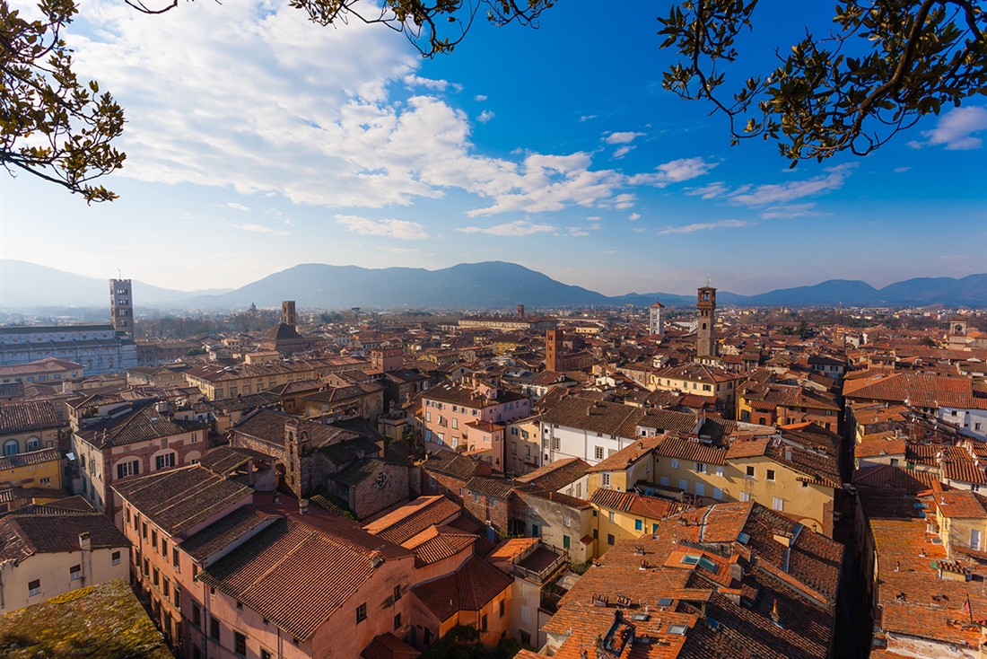 🌟 Scopri Lucca: un tesoro medievale a portata di mano! 🌟